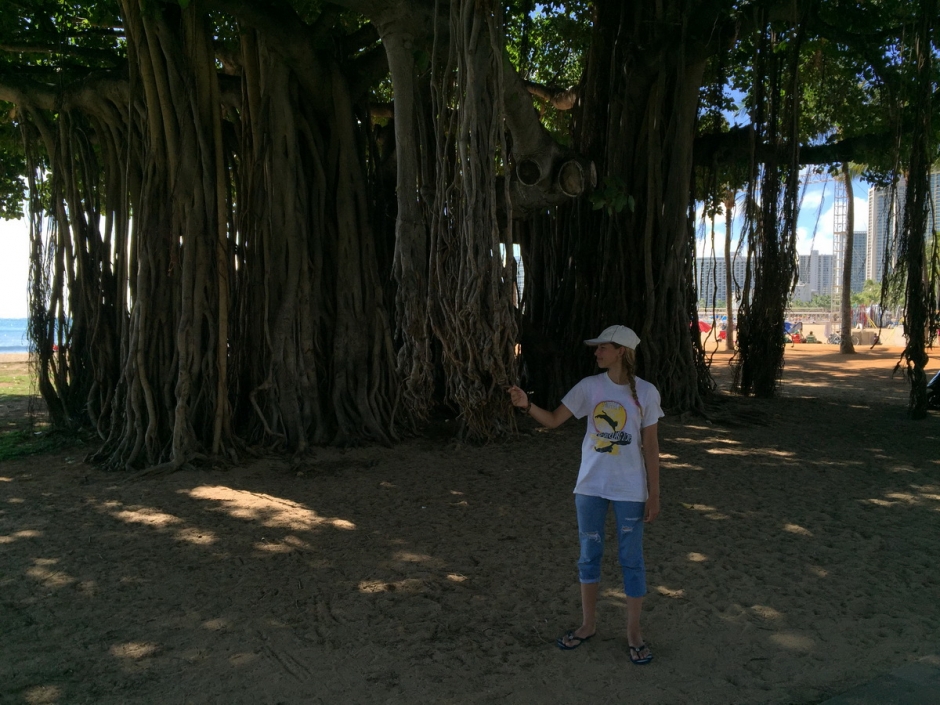 Катя под деревом Баньян на пляже Waikiki.