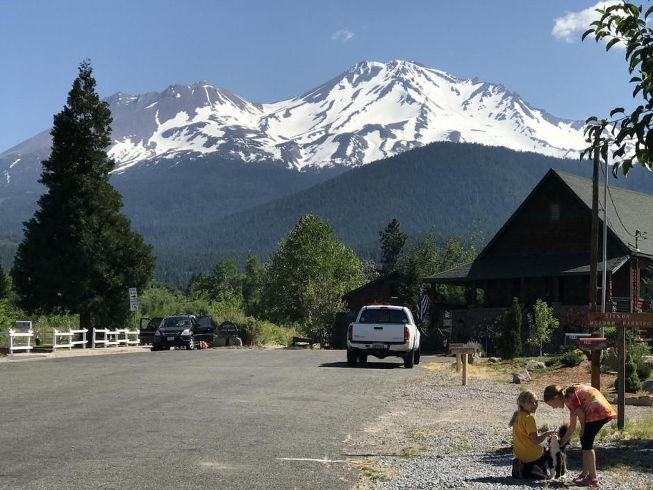 Shasta_2