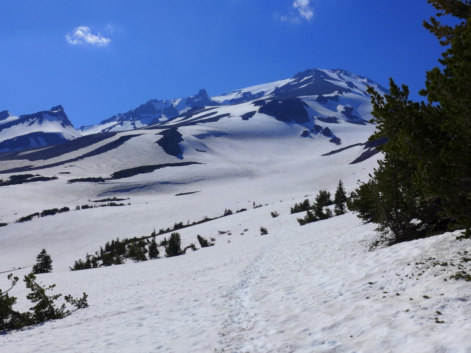 Shasta_13