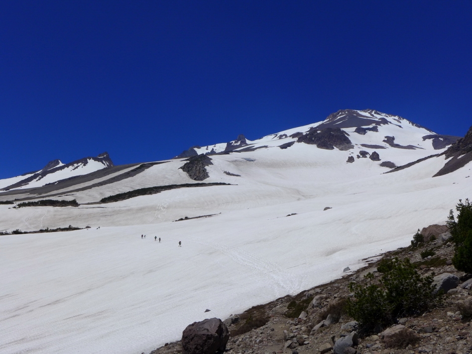 Shasta_36