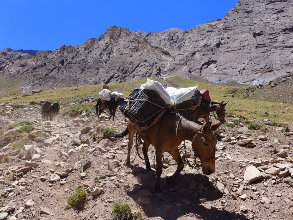Aconcagua_20