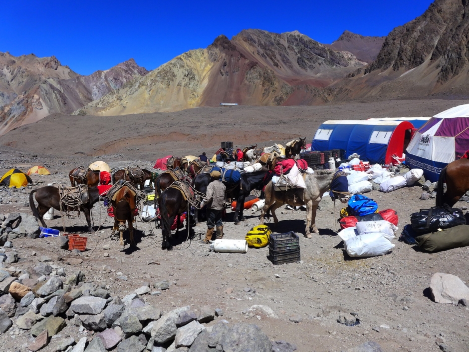 Aconcagua_50