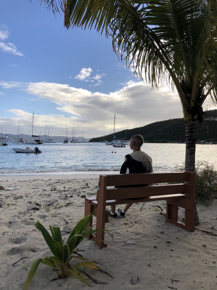 Jost Van Dyke, Great Harbor, вид на бухту