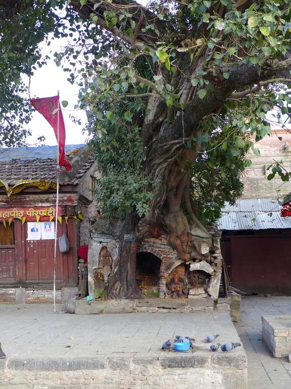 Kathmandu (Катманду) 2019_13
