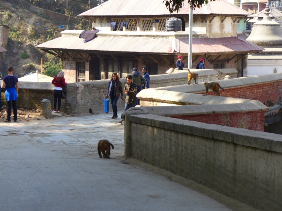 Kathmandu (Катманду) 2019_22