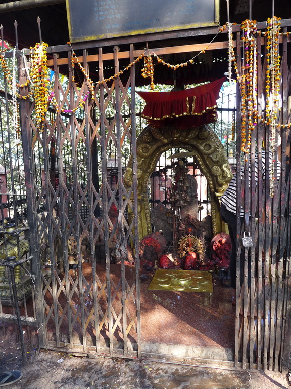 Kathmandu (Катманду) 2019_30