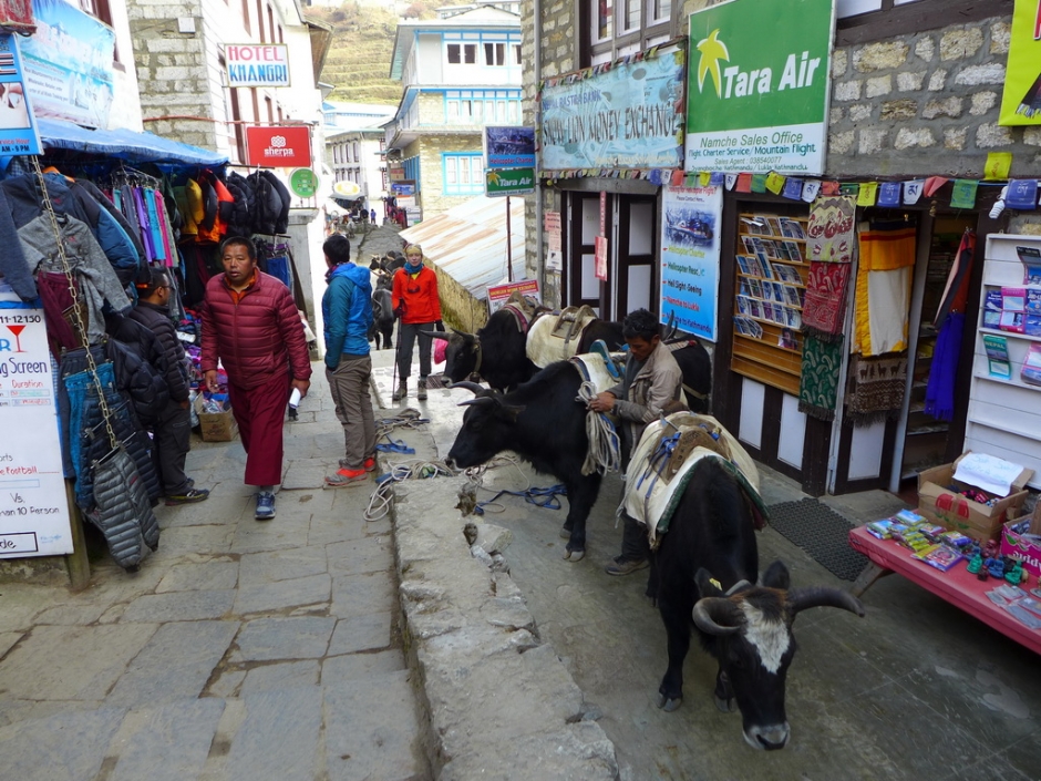 Nepal, 3 passes and Everest Base Camp (Непал, Три перевала и Базовый лагерь Эвереста) 2019_39