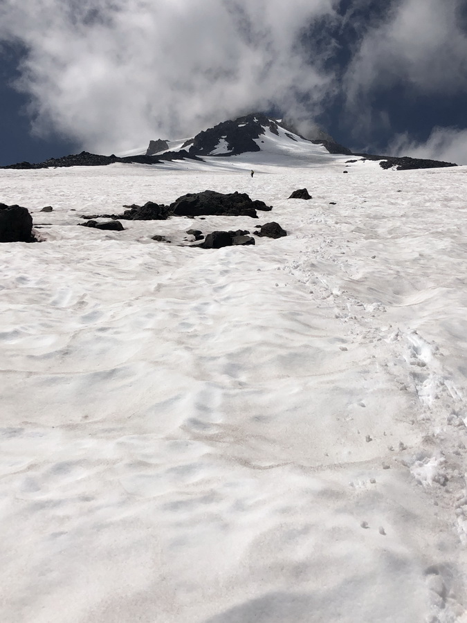 Shasta. Brewer Creek Trail.