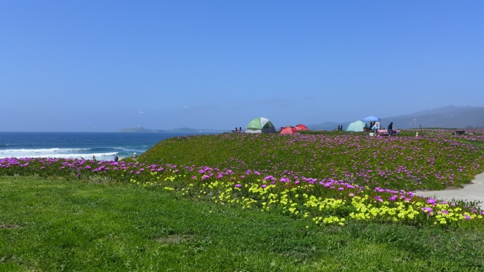 Half Moon Bay - Camp Ground