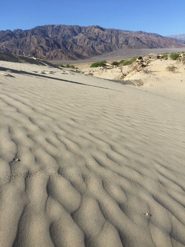 Долина Смерти (Death Valley)