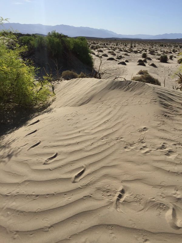 Долина Смерти (Death Valley)