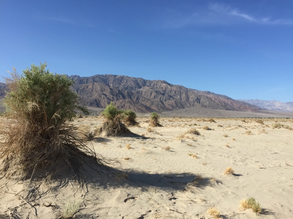 Долина Смерти (Death Valley)