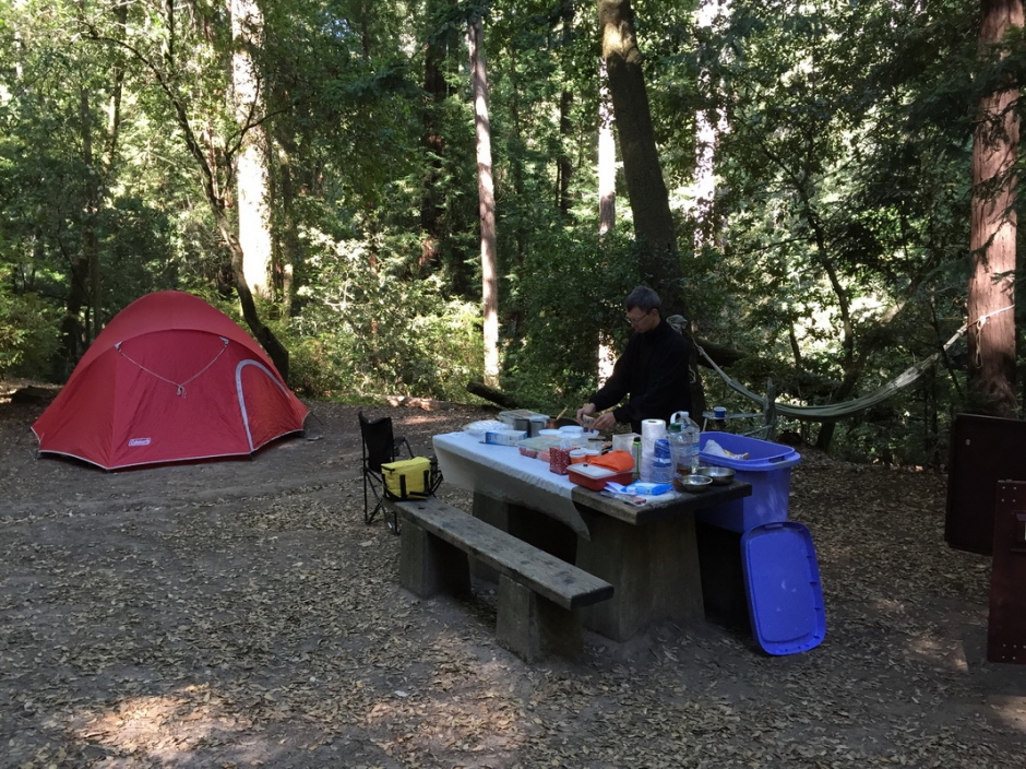 Portola Redwoods_1