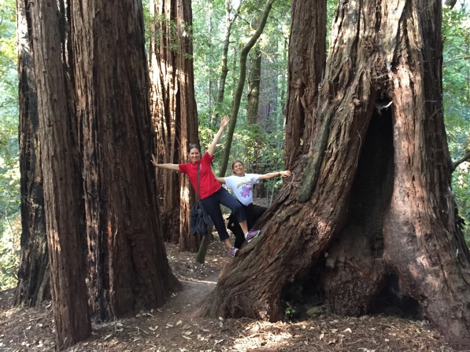 Portola Redwoods_7