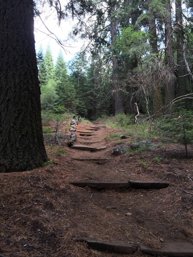 Seqioia_Kings_Canyon_7