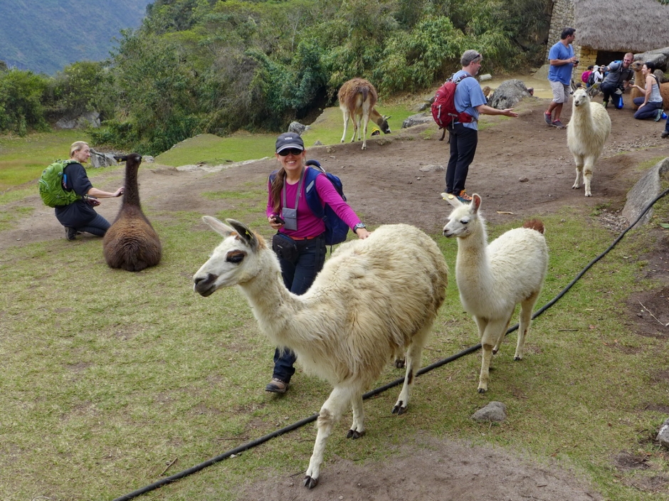 peru__70
