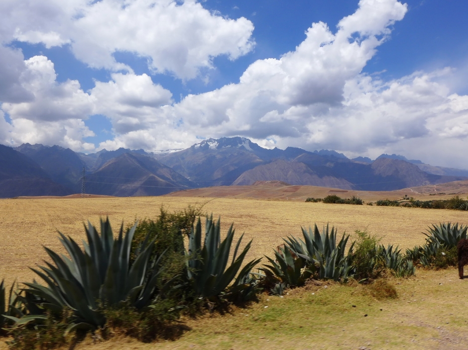 peru__103