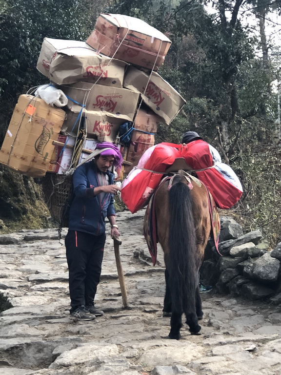 Nepal, 3 passes and Everest Base Camp (Непал, Три перевала и Базовый лагерь Эвереста) 2019_182
