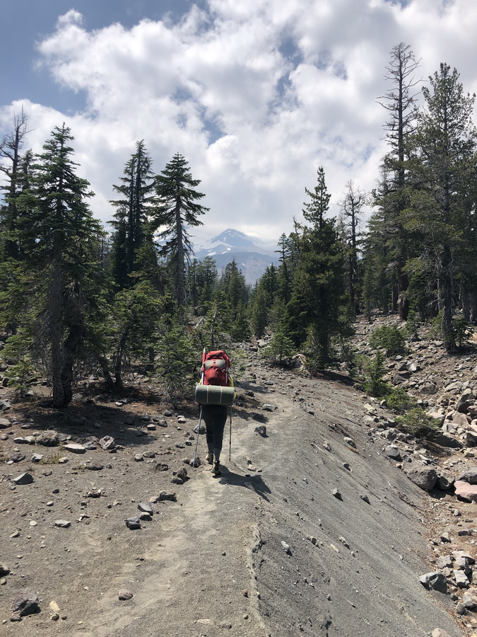 Shasta. Brewer Creek Trail.