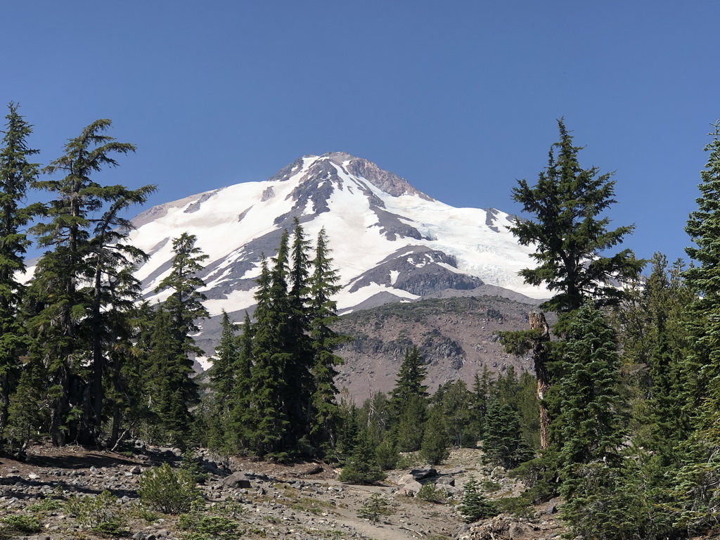 shasta_brewer_creek_trail