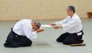 Aikido Pacific Federation. Aikikai.