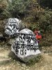 Nepal, 3 passes and Everest Base Camp (Непал, Три перевала и Базовый лагерь Эвереста) 2019_180