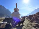 Nepal, 3 passes and Everest Base Camp (Непал, Три перевала и Базовый лагерь Эвереста) 2019_53