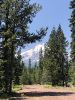 Shasta. Brewer Creek Trail.