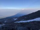 Shasta. Brewer Creek Trail.